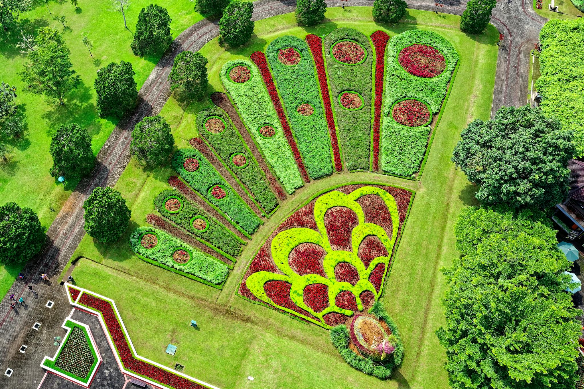 Aerial view of a colorful peacock pattern garden in Sukaresmi, Indonesia.