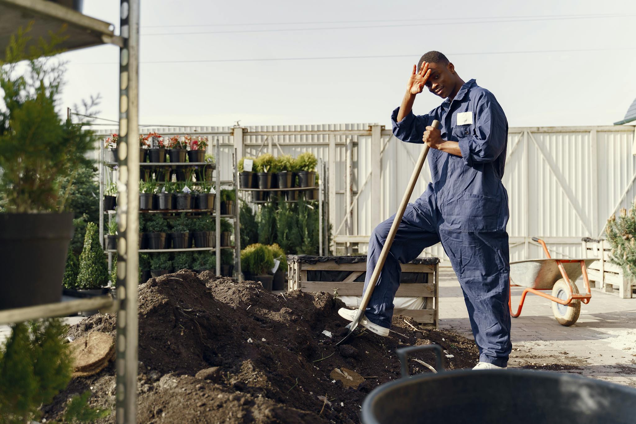 Hardworking gardener shovels soil with a shovel in an outdoor nursery surrounded by potted plants.